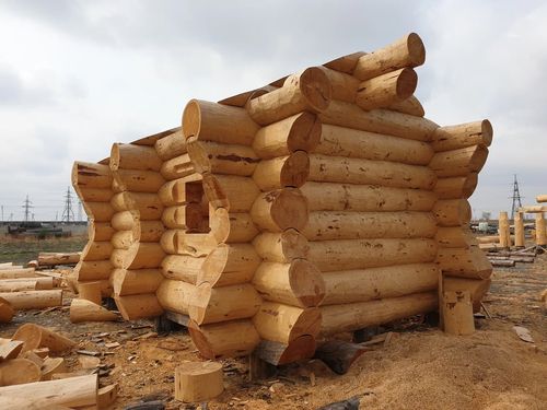 Фото пресс-службы Управления Россельхознадзора по Хакасии и Туве